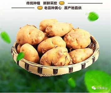 买六角的大洋芋